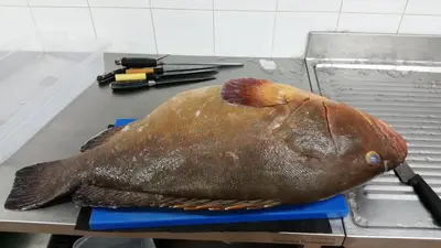 Planimetria di S'apposenteddu Affittacamere del Ristorante da Stefano