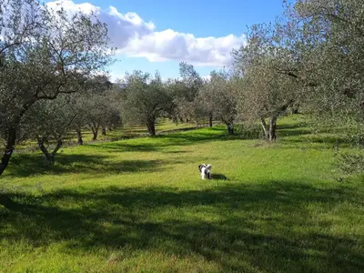 Paesaggio naturale nelle vicinanze del bed & breakfast