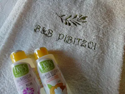 Planimetria di B&B PIBITZOI