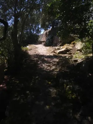 Paesaggio naturale nelle vicinanze della casa vacanze