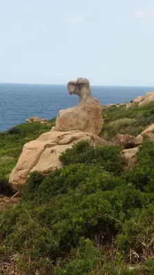Paesaggio naturale nelle vicinanze della casa vacanze