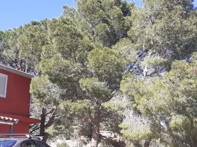 Planimetria di Casa Solanas N. 2