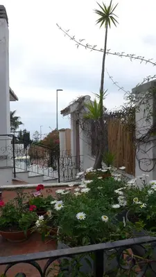 Giardino di B&B VILLA ELISA