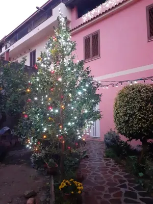 Giardino di L'Agrifoglio di Emy