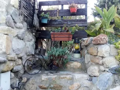 Planimetria di Belli come il Sole
