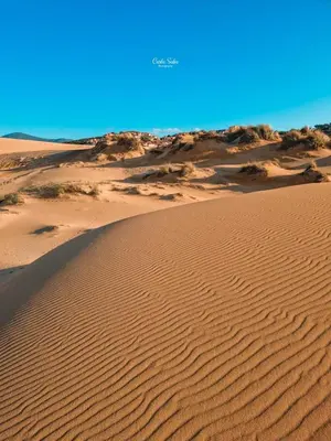Paesaggio naturale nelle vicinanze della casa vacanze