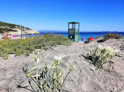 Paesaggio naturale nelle vicinanze del bed & breakfast
