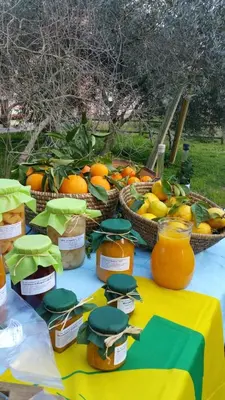 Giardino di Agriturismo Archelao
