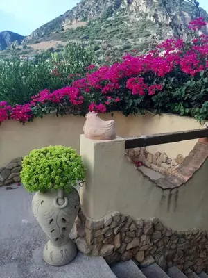 Vista generica sulle montagne o vista sulle montagne dall'interno della casa vacanze