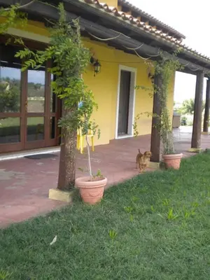 Giardino di Affittacamere Luti