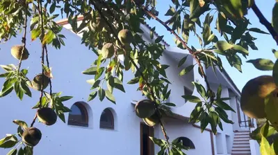 Edificio in cui si trova l'affittacamere