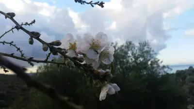 Paesaggio naturale nelle vicinanze dell'affittacamere