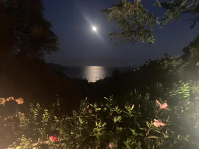 Paesaggio naturale nelle vicinanze della villa