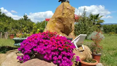 Giardino di Orange Ville