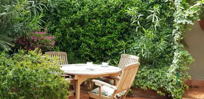 Giardino di Marco's house