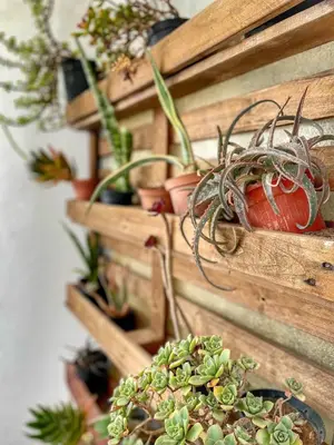 Planimetria di Casa Nina