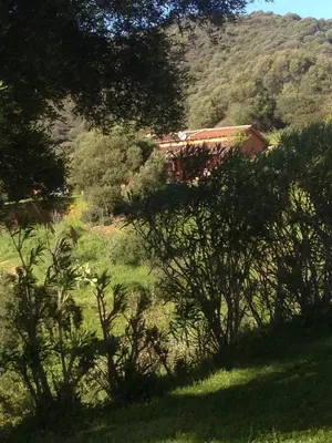 Paesaggio naturale nelle vicinanze dell'affittacamere
