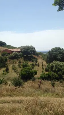 Paesaggio naturale nelle vicinanze dell'affittacamere