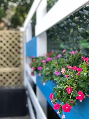 Giardino di Dépendance