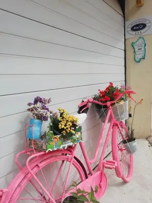 Attività di ciclismo presso il bed & breakfast o nelle vicinanze