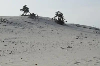 Paesaggio naturale nelle vicinanze della casa vacanze