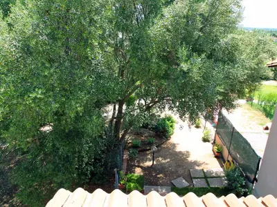 Giardino di Holiday Home Is Molas by Interhome