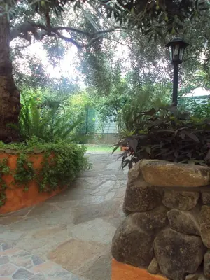 Giardino di B&B Dimora Degli Ulivi