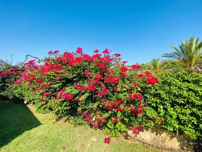Giardino di Abba Urci