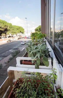 Giardino di B&B la Bitta