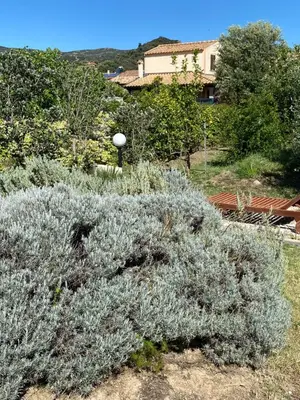 Giardino di LeCalleBed-Breakfast