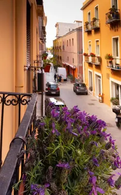 Il quartiere o una zona nella vicinanze dell'appartamento