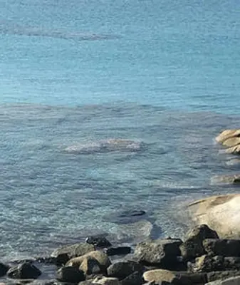 Paesaggio naturale nelle vicinanze della casa vacanze