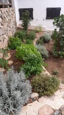 Giardino di Ulivo