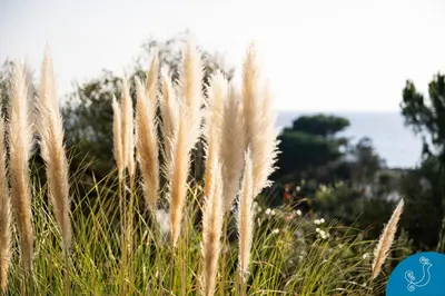 Paesaggio naturale nelle vicinanze della villa