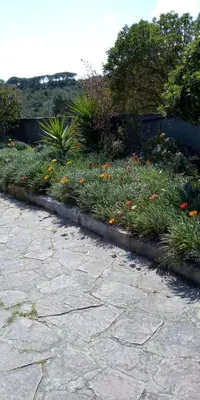 Giardino di Il Ginepro