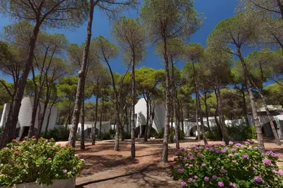 Giardino di Hotel Mare Pineta