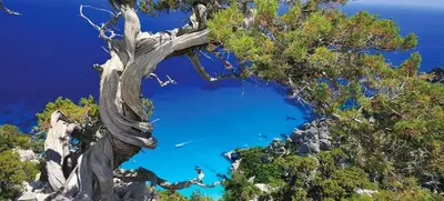 Paesaggio naturale nelle vicinanze della villa
