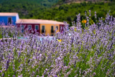 Giardino di HOTEL ORLANDO Sardegna
