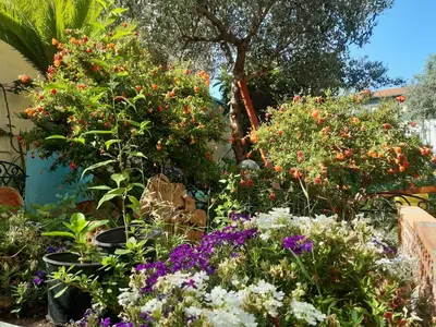 Giardino di Locazioni Brevi La RosaViola GUEST ROOMS