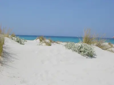 Paesaggio naturale nelle vicinanze dell'affittacamere