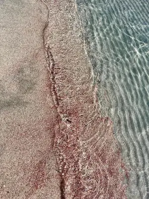 Paesaggio naturale nelle vicinanze dell'appartamento