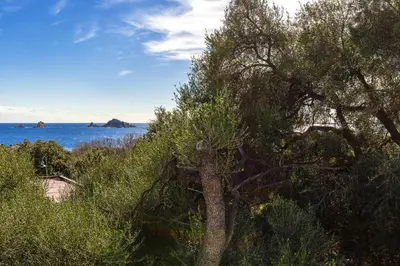 Paesaggio naturale nelle vicinanze dell'appartamento