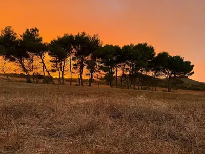 Paesaggio naturale nelle vicinanze dell'agriturismo