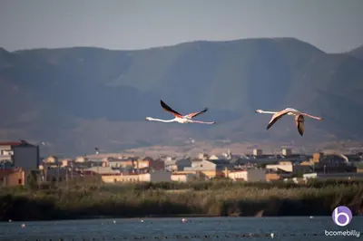 Paesaggio naturale nelle vicinanze dell'affittacamere