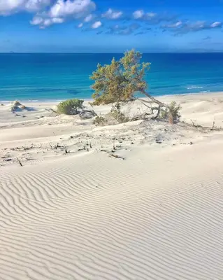 Paesaggio naturale nelle vicinanze dell'appartamento