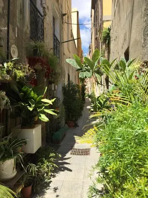 Planimetria di Home Carales
