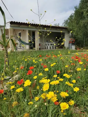 Giardino di Casa Cocco