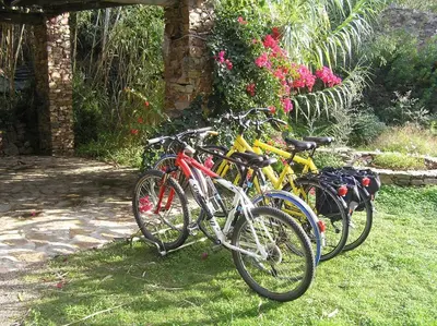 Attività di ciclismo presso la casa vacanze o nelle vicinanze