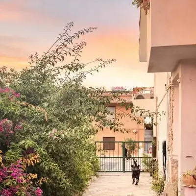 Shaka guest house
