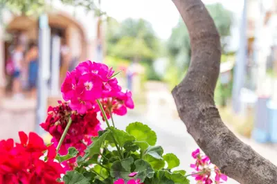 Giardino di Casa vacanze Lungomare